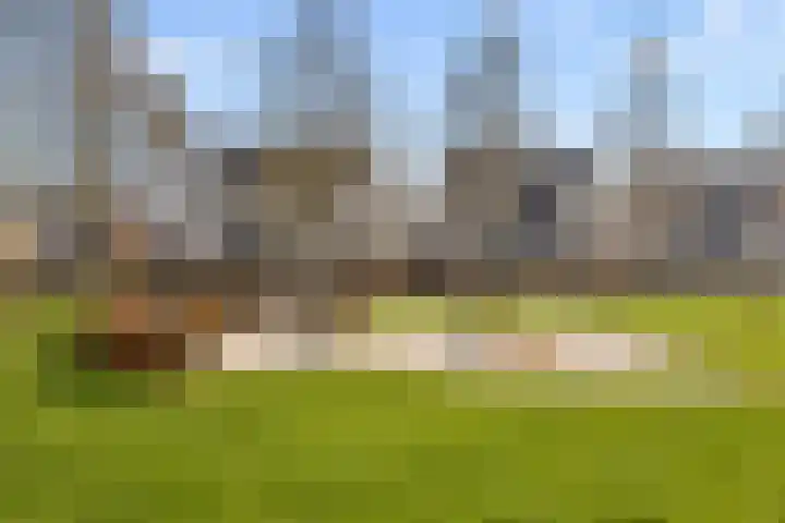 Kortgevel 13 Uden thumbnail 50