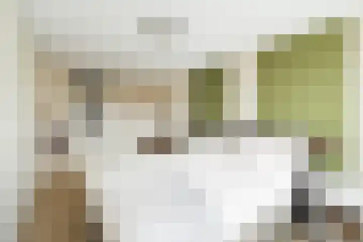 Kortlandpad 37 Zoetermeer thumbnail 25