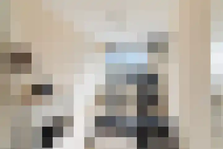 Kortlandpad 37 Zoetermeer thumbnail 28