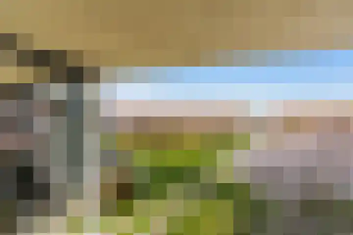 Kortlandpad 37 Zoetermeer thumbnail 36
