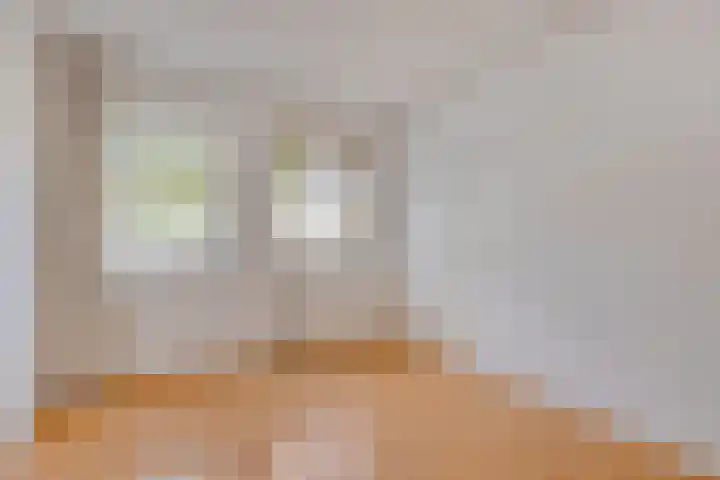 Kospad 31 Amsterdam thumbnail 19