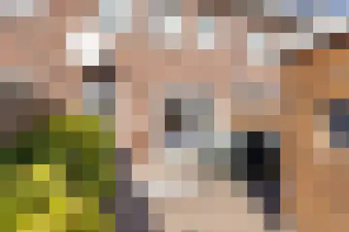 Kospad 31 Amsterdam thumbnail 4