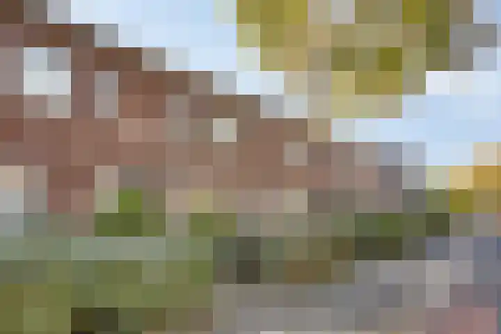 Kospad 31 Amsterdam thumbnail 7