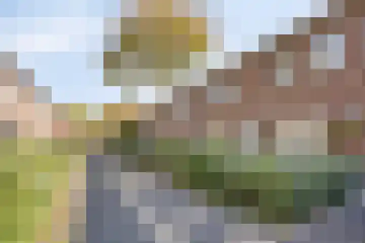 Kospad 31 Amsterdam thumbnail 8