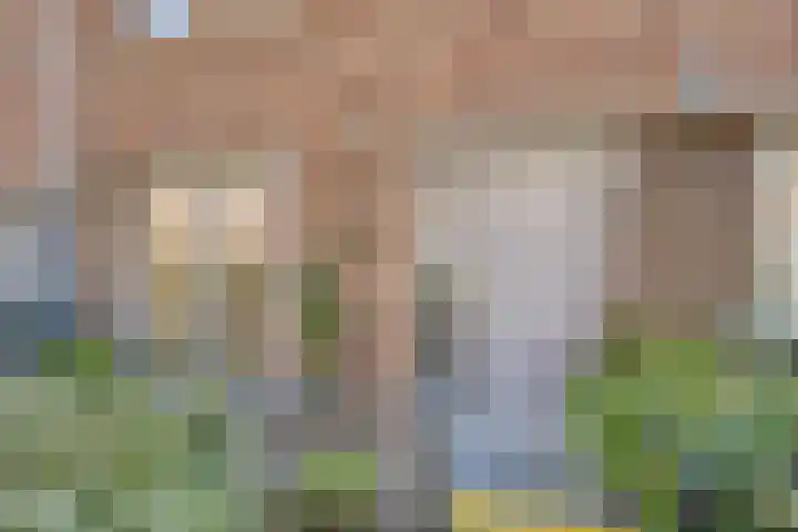 Kospad 31 Amsterdam thumbnail 9