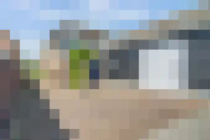 Kosterdijk 14 Waarder thumbnail 51