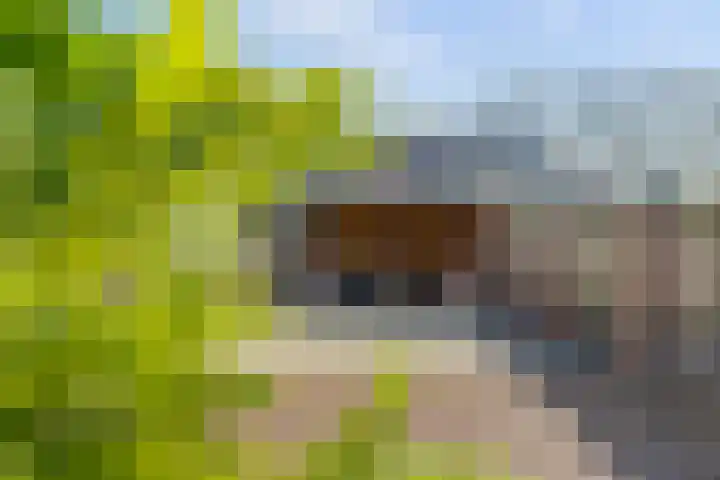 Kosterdijk 14 Waarder thumbnail 55