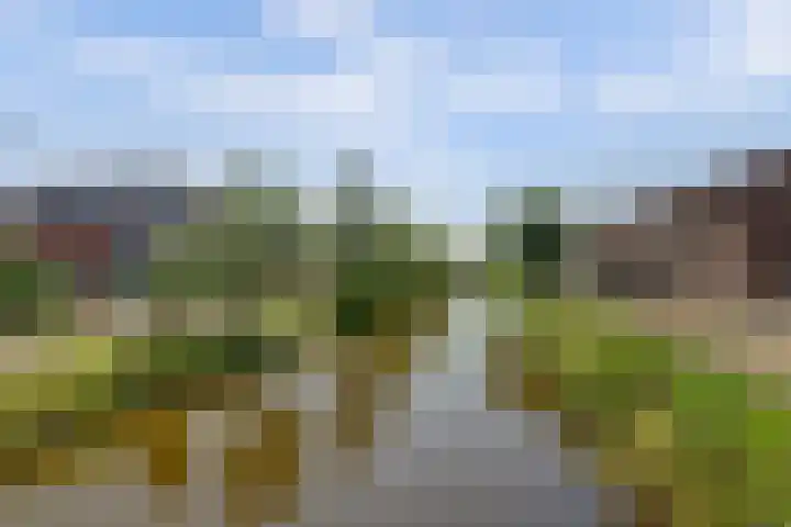 Kosterdijk 14 Waarder thumbnail 61