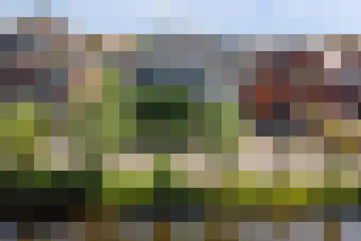 Kosterdijk 14 Waarder thumbnail 62