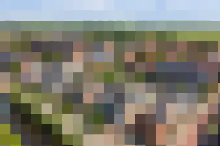 Kosterdijk 14 Waarder thumbnail 64
