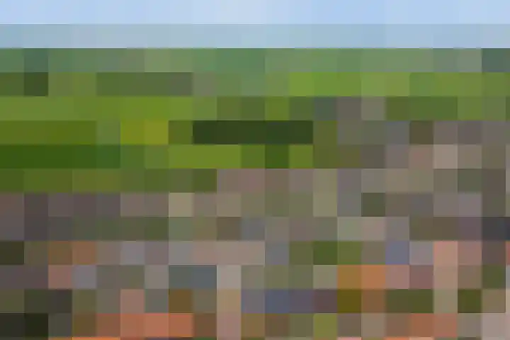 Kosterdijk 14 Waarder thumbnail 69