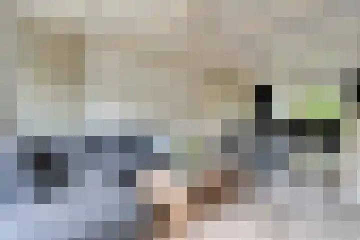 Kosterskamp 19 Den Ham thumbnail 14
