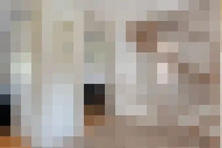 Kosterskamp 19 Den Ham thumbnail 18