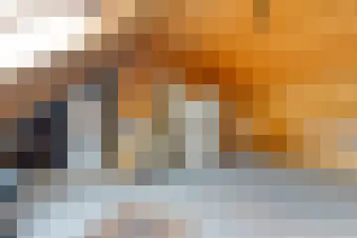 Kosterskamp 19 Den Ham thumbnail 30