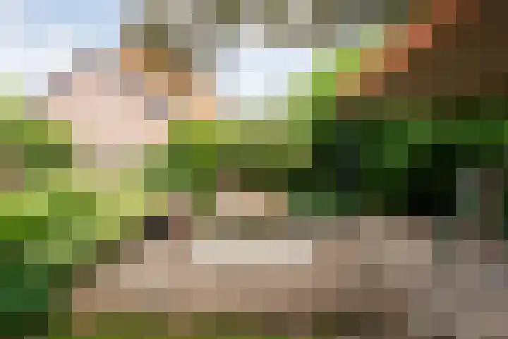 Kosterskamp 19 Den Ham thumbnail 33