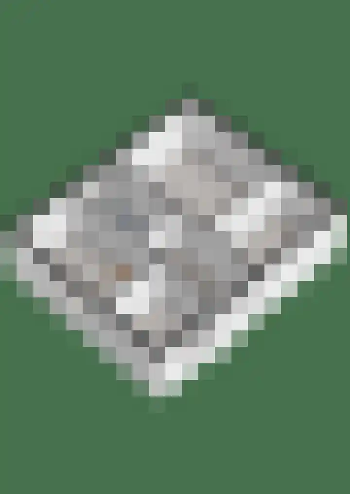 Kosterskamp 19 Den Ham thumbnail 39