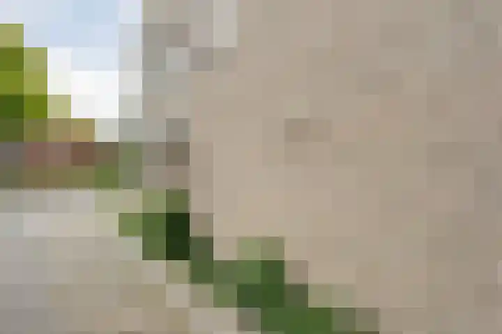 Kosterskamp 19 Den Ham thumbnail 4
