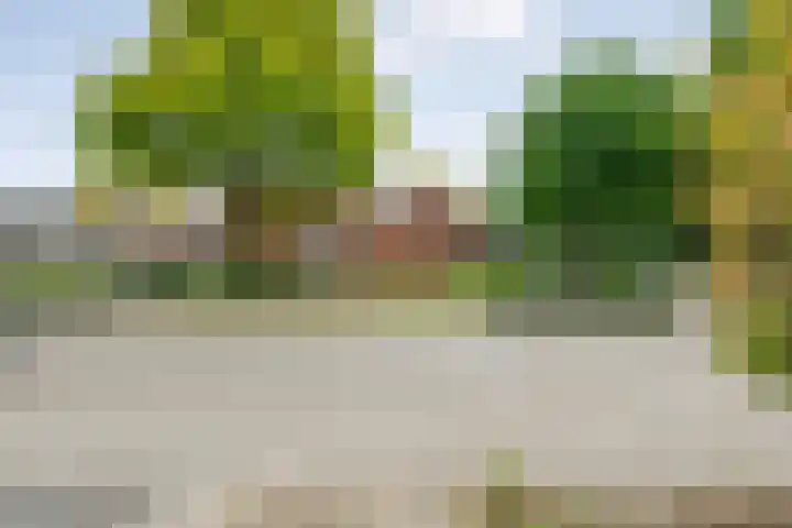 Kosterskamp 19 Den Ham thumbnail 7