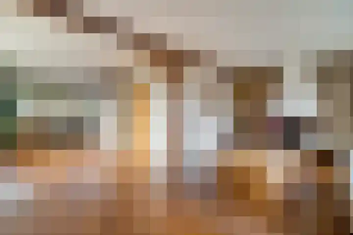 Kosterskamp 52 Den Ham thumbnail 11