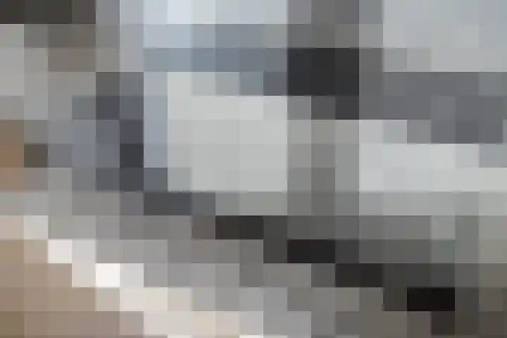 Kosterskamp 52 Den Ham thumbnail 19