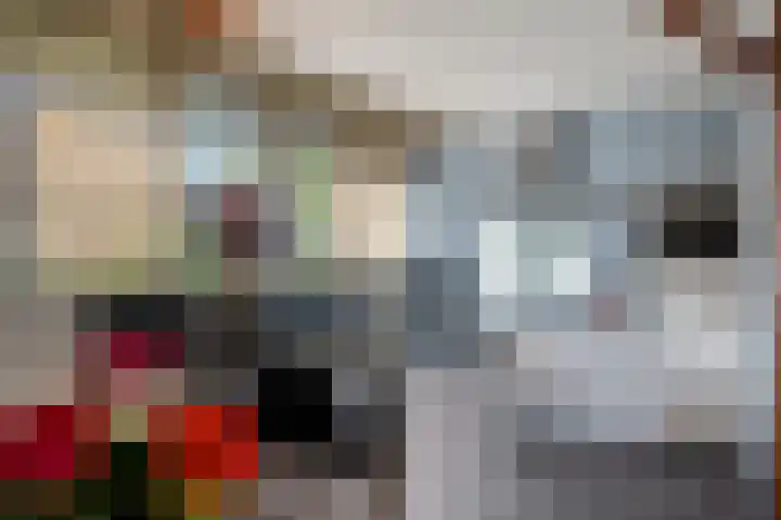 Kosterskamp 52 Den Ham thumbnail 20