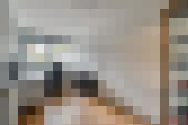 Kosterskamp 52 Den Ham thumbnail 21