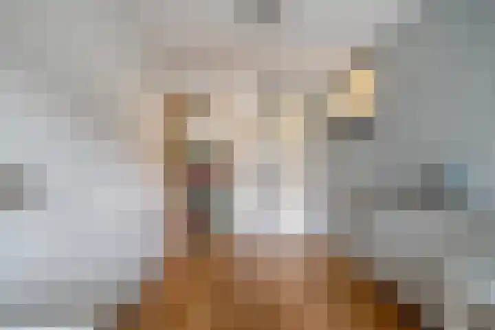 Kosterskamp 52 Den Ham thumbnail 22