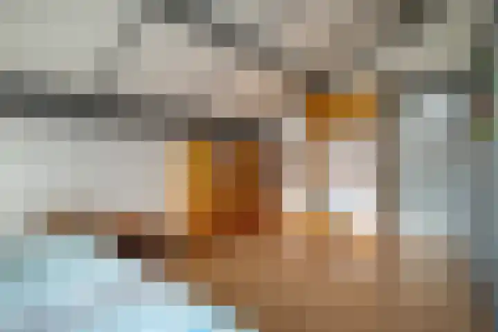 Kosterskamp 52 Den Ham thumbnail 34