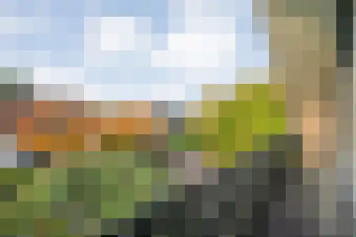 Kosterskamp 52 Den Ham thumbnail 42