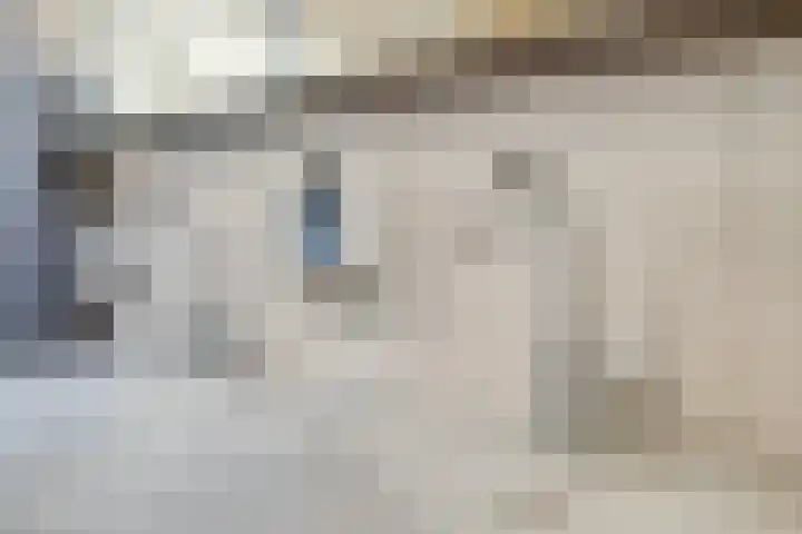 Kosterskamp 52 Den Ham thumbnail 44