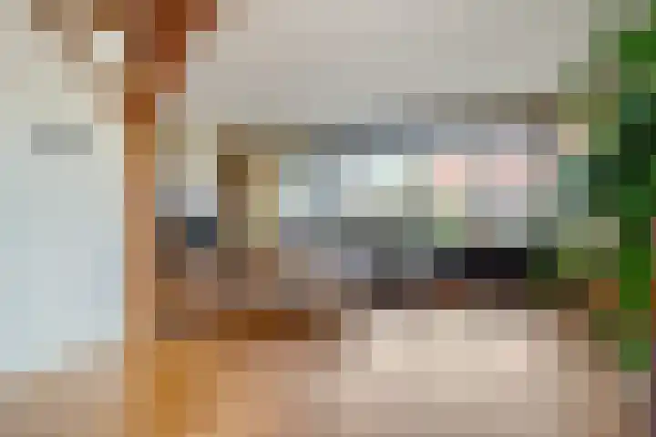 Kosterskamp 52 Den Ham thumbnail 9