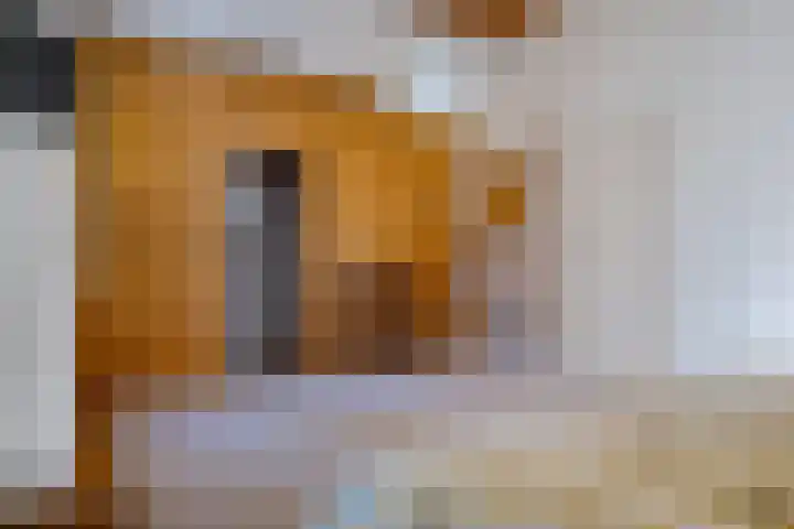 Koterhoek 37 Steenwijk thumbnail 30