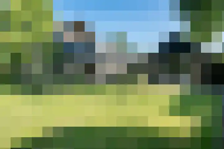 Koterhoek 37 Steenwijk thumbnail 39