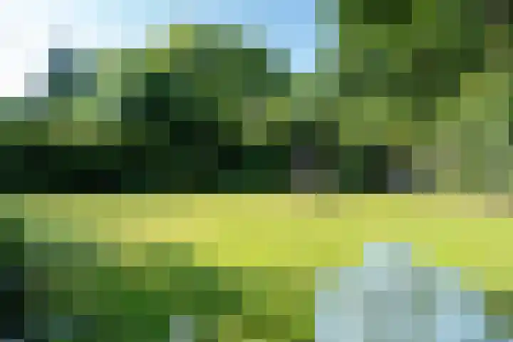 Koterhoek 37 Steenwijk thumbnail 41