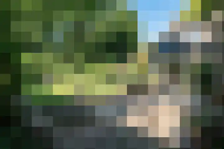 Koterhoek 37 Steenwijk thumbnail 44