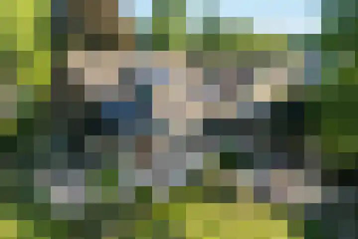 Koterhoek 37 Steenwijk thumbnail 47