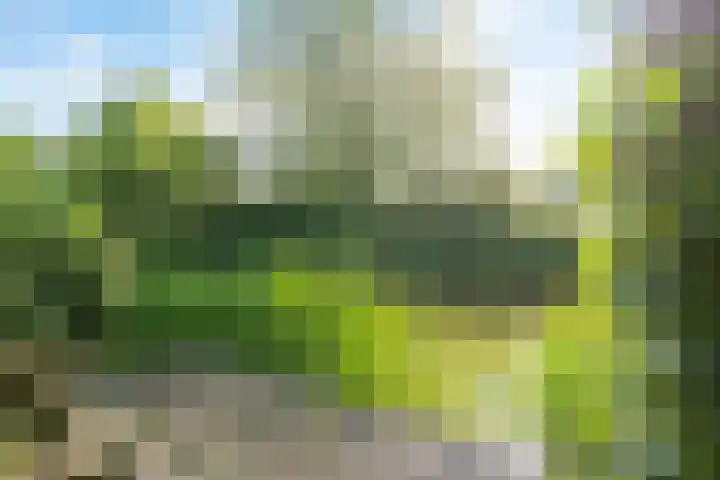 Koterhoek 37 Steenwijk thumbnail 49