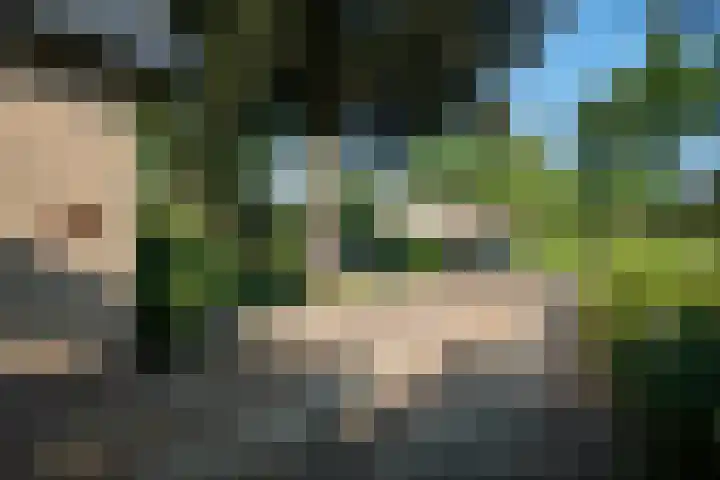 Koterhoek 37 Steenwijk thumbnail 50