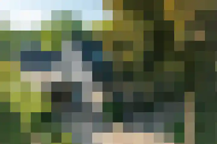 Koterhoek 37 Steenwijk thumbnail 52