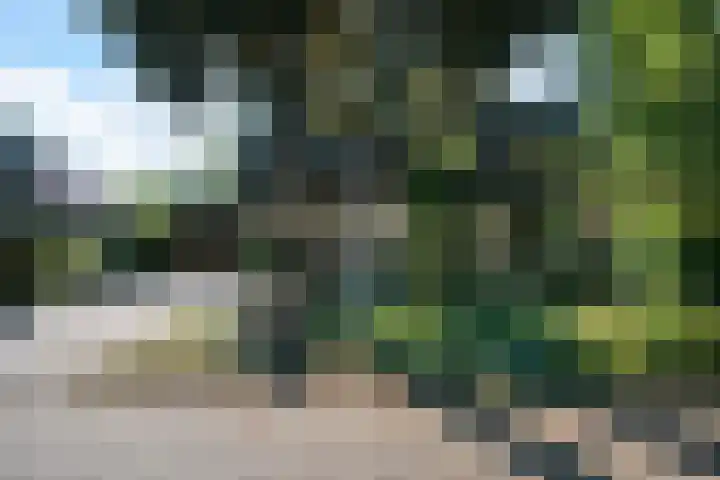 Koterhoek 37 Steenwijk thumbnail 54