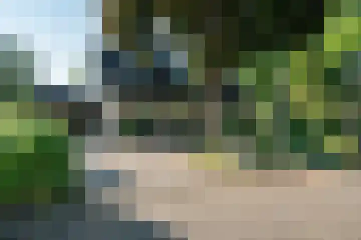 Koterhoek 37 Steenwijk thumbnail 58