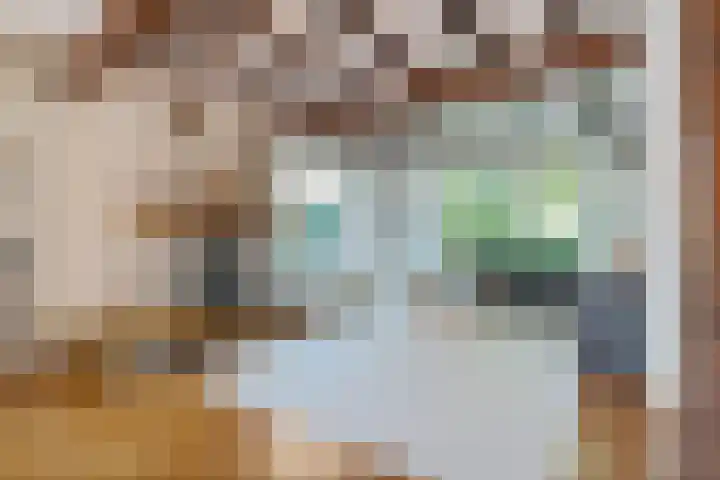 Koterhoek 37 Steenwijk thumbnail 7