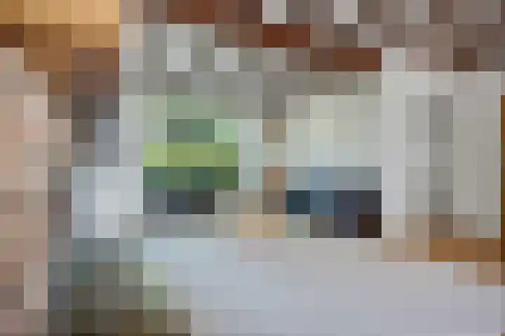 Koterhoek 37 Steenwijk thumbnail 8