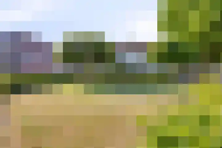 Kottendijk 203 Enschede thumbnail 32