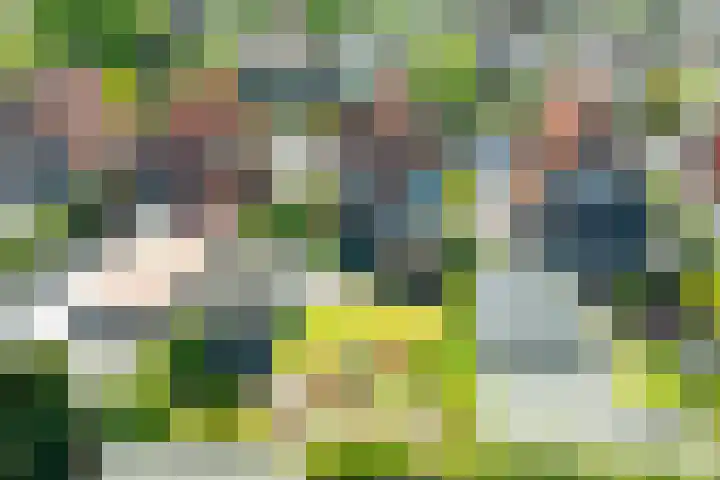 Kottenseweg 55 Winterswijk thumbnail 53