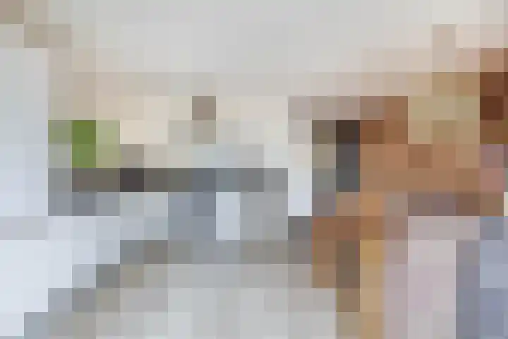 Kotter 15 Brielle thumbnail 13