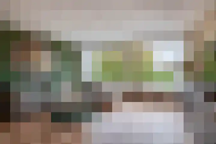 Kotter 15 Brielle thumbnail 17