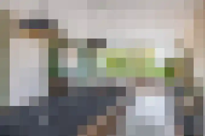 Kotter 15 Brielle thumbnail 23