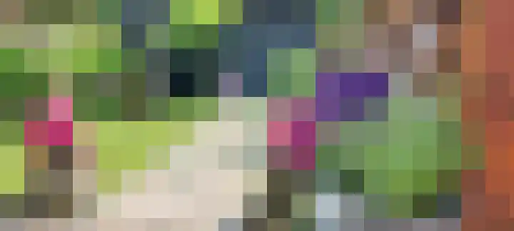 Kotter 15 Brielle thumbnail 39