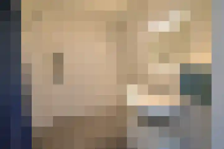 Kotter 26 Huizen thumbnail 13